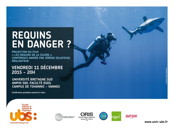 Requins en danger ?